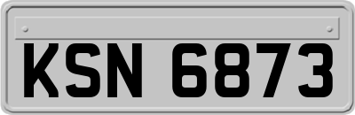 KSN6873