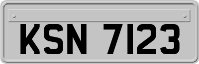 KSN7123