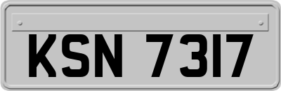 KSN7317