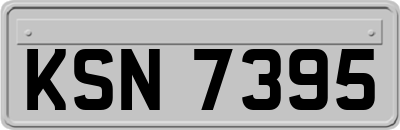 KSN7395
