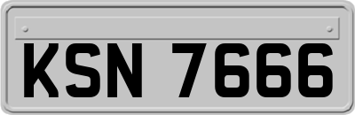 KSN7666
