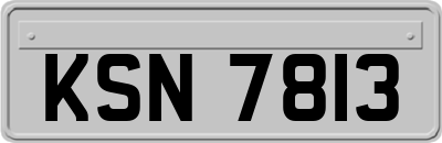 KSN7813