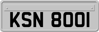 KSN8001