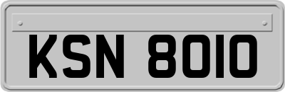 KSN8010