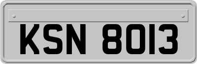 KSN8013