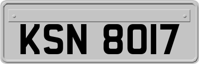 KSN8017