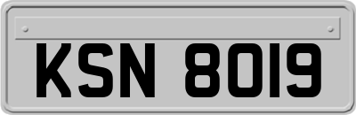 KSN8019