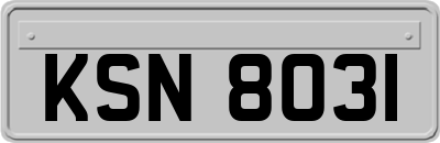 KSN8031