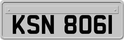 KSN8061