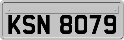 KSN8079
