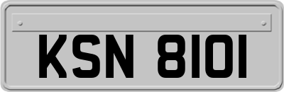 KSN8101