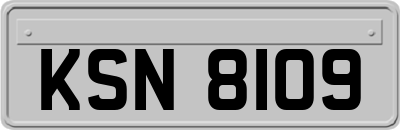 KSN8109