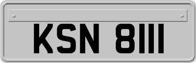 KSN8111