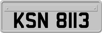 KSN8113