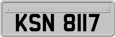 KSN8117