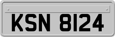 KSN8124