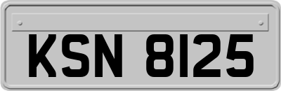 KSN8125