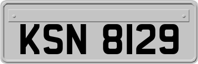 KSN8129