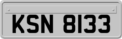 KSN8133