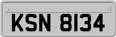 KSN8134