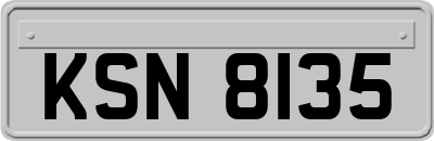 KSN8135