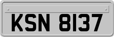 KSN8137