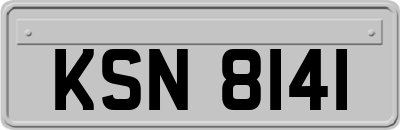 KSN8141