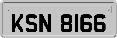 KSN8166