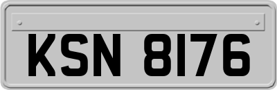 KSN8176