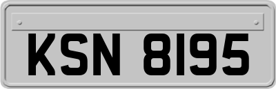 KSN8195