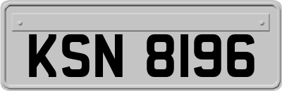 KSN8196