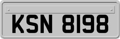 KSN8198
