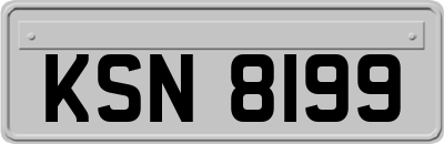 KSN8199