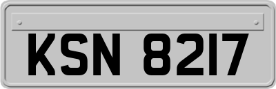 KSN8217