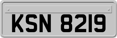 KSN8219