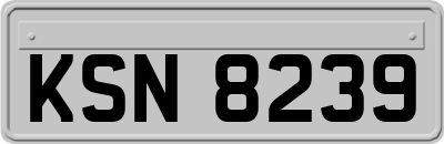 KSN8239
