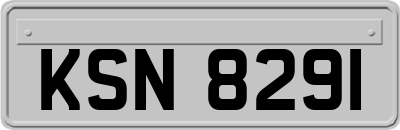 KSN8291