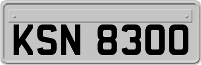 KSN8300