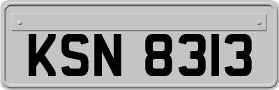KSN8313