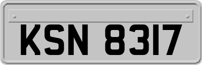 KSN8317