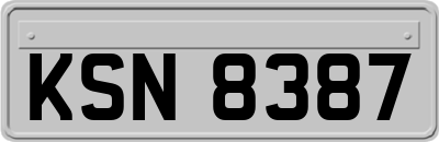 KSN8387
