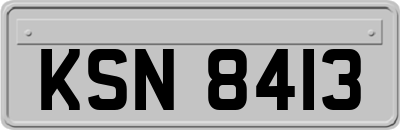 KSN8413