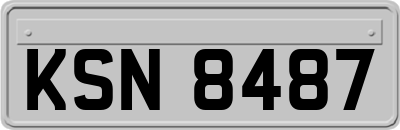 KSN8487