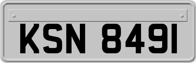 KSN8491