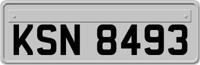 KSN8493
