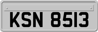 KSN8513