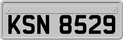 KSN8529