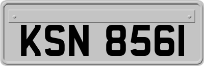 KSN8561