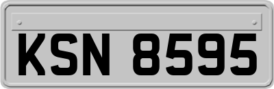 KSN8595