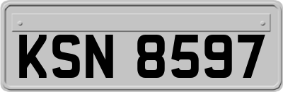 KSN8597